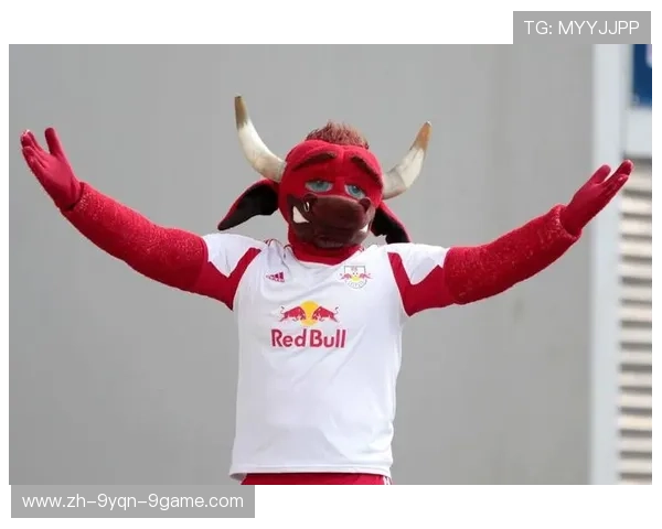 德甲足球队吉祥物：德甲球队吉祥物的文化与背后故事