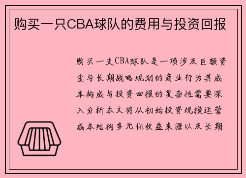 购买一只CBA球队的费用与投资回报